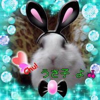 うさ子(@usako0108song) 's Twitter Profile Photo