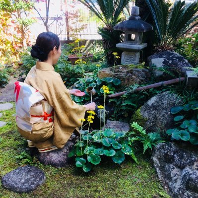 裏千家茶道歴8年のアラフィフ主婦。茶名をいただくべくお稽古がんばってます！無言フォローOK。無言フォロー失礼します🙏