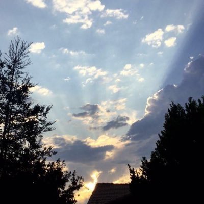 mahoy2884's profile picture. 