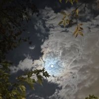 ميم ✨. (@m7_fa0) 's Twitter Profile