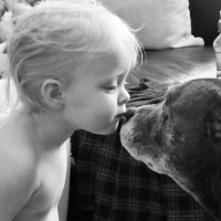 Miss Kelly Spence (@kellysp98611582) 's Twitter Profile