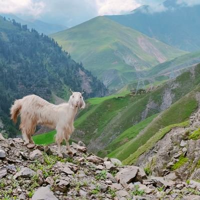 spidasense45's profile picture. 