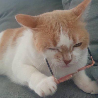 ʚ 𝓢𝓱𝓲𝔃𝓼𝓾𝓴𝓪 ɞ 🐱🐾さんのプロフィール画像