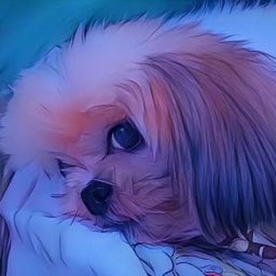 ashy06306831's profile picture. au recommendations