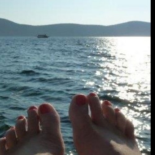 pamjacko22's profile picture. Love my family