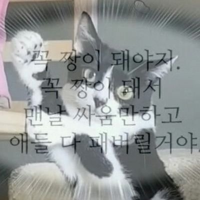 가을🍂さんのプロフィール画像