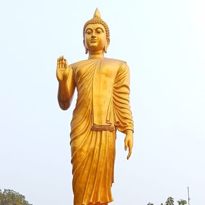 AshishM50339781's profile picture. 