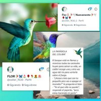 FLOR-c0L1Br1🕊🌹🥀🦋🌺⚘🦋🌹🕊 (@florc0l1br1_o03) 's Twitter Profile Photo FLOR-c0L1Br1🕊🌹🥀🦋🌺⚘🦋🌹🕊 (@florc0l1br1_o03) 's Twitter Profile Photo