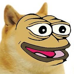 CaptainTheDoge's profile picture. 