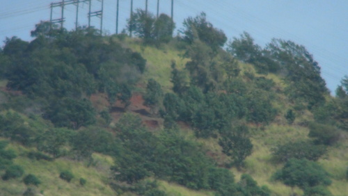 MarieR24's profile picture. Proverbs 3:5-6 Trust in the Lord with all your heart and lean not on your own understanding.   In all your ways acknowledge Him, and He shall direct your paths.