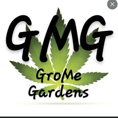 Proud Dad , Football Fan, Barber, Crypto Head and Gardener! GroMe Gardens @NATIXnetwork