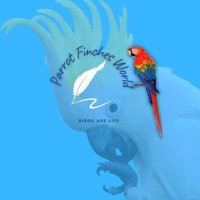 parrot finches world(@parrot_finches) 's Twitter Profile Photo