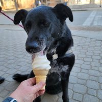 Colleen (she/her) (@decidedlycoll) 's Twitter Profile