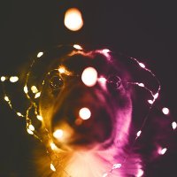 My Crush (@mycrushe1) 's Twitter Profile