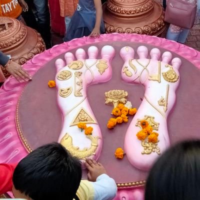 Soumyad56979542's profile picture. 