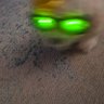 Ljilja_lilli's profile picture. 