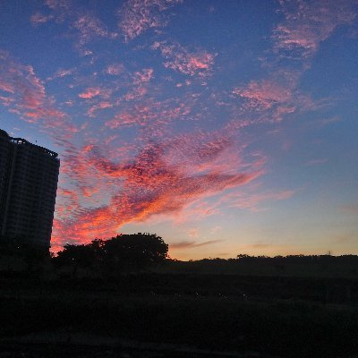 emizhuuu's profile picture. 20+