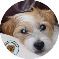 kirsty markes 💔RIPRuby 🌈Archie lilli holly🙏 MBE (@lilliandarchie) 's Twitter Profile
