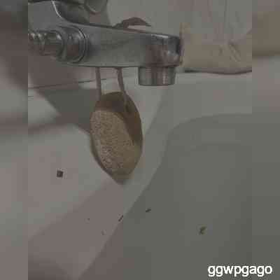 ggwpgago's profile picture. YASAL SAYFA
ÜRETİCİ FİRMA
TOPTAN SATIŞ MEVCUT
Kolay sipariş ıcın linki tıklayarak whatsapp dan sıprısınızı verebilirsiniZ
Whatsapp 0545 745 45 69