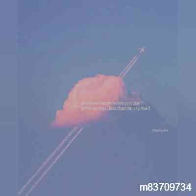 m83709734's profile picture. supporting addison rae | not impersonating 
my back up account ᝰ addisoneraez ✿⋆｡˚