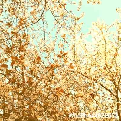 Whatthe44822653's profile picture. Such a great daughter 🕴🏻