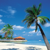 Right2Travel's profile picture. Who doesn’t love to travel? Collection of fun places to go & things to do around the world. Travel stories, videos, information, tips, advice.