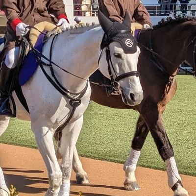 最近競馬にまたはまり、放置してたTwitterを始動しました☺️
川田将雅騎手と菅原明良騎手と横山武史騎手を応援してます(｀･ω･´)ゞ
最推しは菅原明良騎手です(*^^*)✨