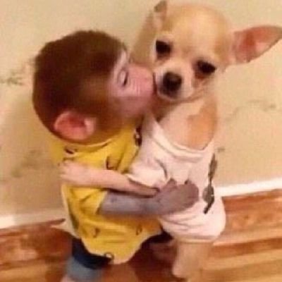 thechinoscrazy's profile picture. *