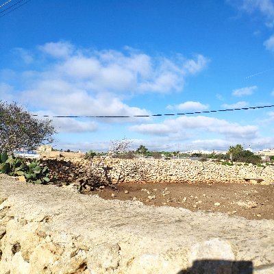 rachelgozo's profile picture. Trying to maintain some semblance of sanity in this mad world by finding beauty in my surroundings, in everyday things. 
For cats, please visit @thecatisbusy