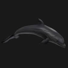 There is no question dolphins are smarter than humans..

@Mint_Blockchain