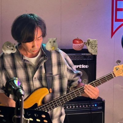 べーしすとっしー🦔🐹さんのプロフィール画像
