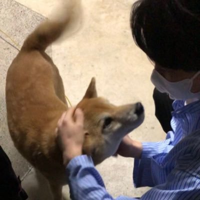 IT関連 | 20代 | 無言フォロー失礼します🐕