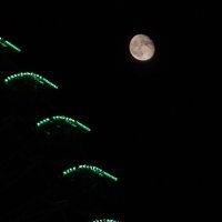 albacete (@albacete) 's Twitter Profile Photo albacete (@albacete) 's Twitter Profile Photo