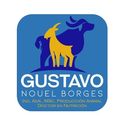 GustavoENouelB Profile Picture