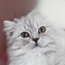 Liza Hall - @LizaHal66317684 - Twitter