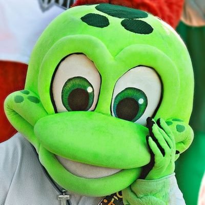 The turtle-ly awesome mascot and official party animal of MiLB's @daytonatortugas! 

Not a mutant or a ninja...yet... 🐢⚾️
