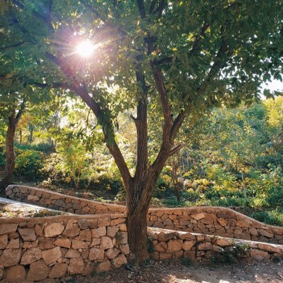 mky_cgy's profile picture. Don’t be scared of the things that could go wrong along the way.