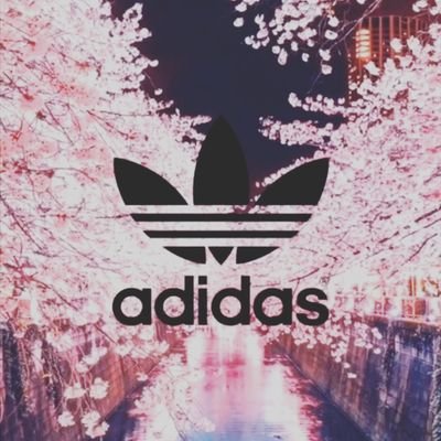 kugo55598902's profile picture. 