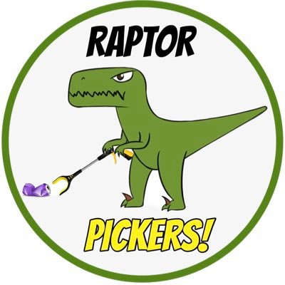 RaptorPickers's profile picture. George started the Raptor Pickers in 2021 when he was 8 years old. Now he and his friends go around the local area in their free time doing their bit to help 🦖