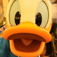 Ha_Ru @プロフカード必読 (@hry_duck2) 's Twitter Profile Photo Ha_Ru @プロフカード必読 (@hry_duck2) 's Twitter Profile Photo