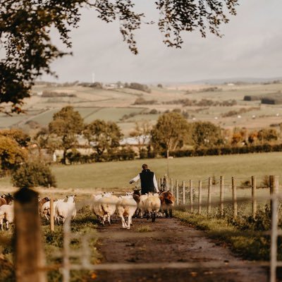 Ag tech graduate, mixed livestock farmer growing my dairy herd by improving grass growth and utilisation, Farmers Weekly Farming Apprentice finalist 2018