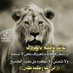خالد الحماد البوشعبان (@alafadl78226619) Twitter profile photo خالد الحماد البوشعبان (@alafadl78226619) Twitter profile photo