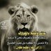 خالد الحماد البوشعبان (@alafadl78226619) Twitter profile photo