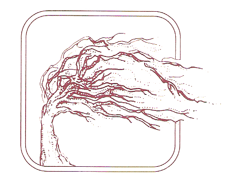 oakcreekebooks's profile picture. 