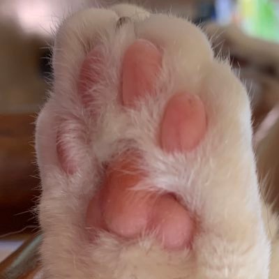 サトーさんのプロフィール画像