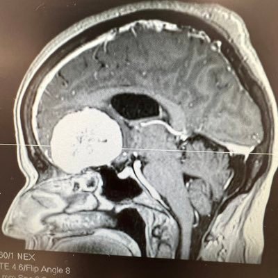 medulla42106984's profile picture. 