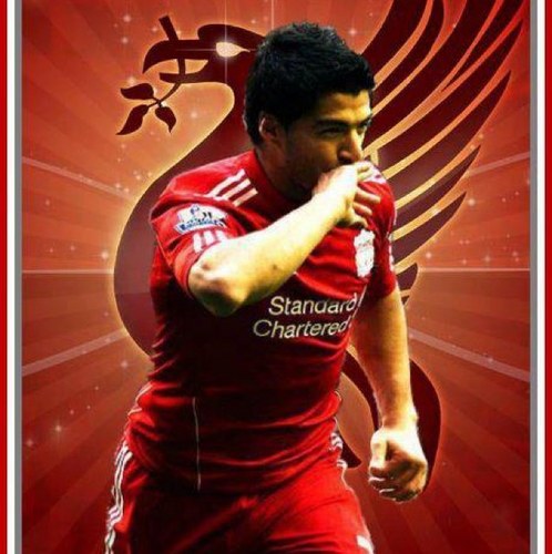 Diggle55's profile picture. 