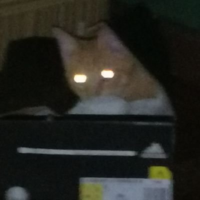 aqyntik's profile picture. i stream sometimes 
https://t.co/5lIF2vMQjh