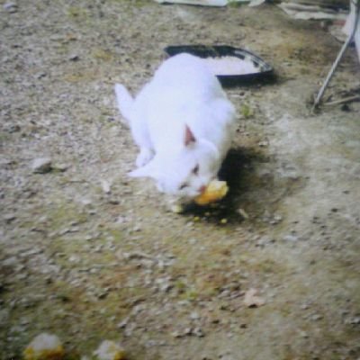 日本をみんなで守りましょう。
保守政党を応援します。
同志と思われる方は基本フォロバします。
業者・アンチ・出会い厨・宗教関連✖
フォロバ後のDMやめてほしいです。
多文化共生✖ホームタウン✖移民政策✖偏向報道✖

#偏向報道を許さない
#多文化共生反対
#移民政策反対
#長野県