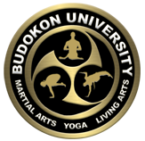 BudokonU's profile picture. 